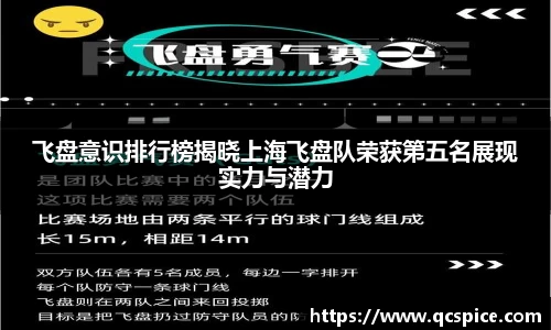 飞盘意识排行榜揭晓上海飞盘队荣获第五名展现实力与潜力
